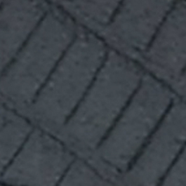 لیزارد مشکی