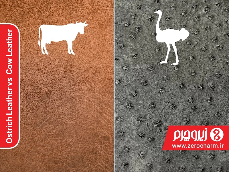 Ostrich Leather vs Cow Leather