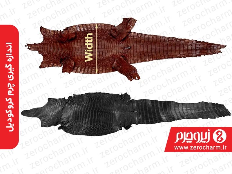 اندازه گیری چرم کروکودیل