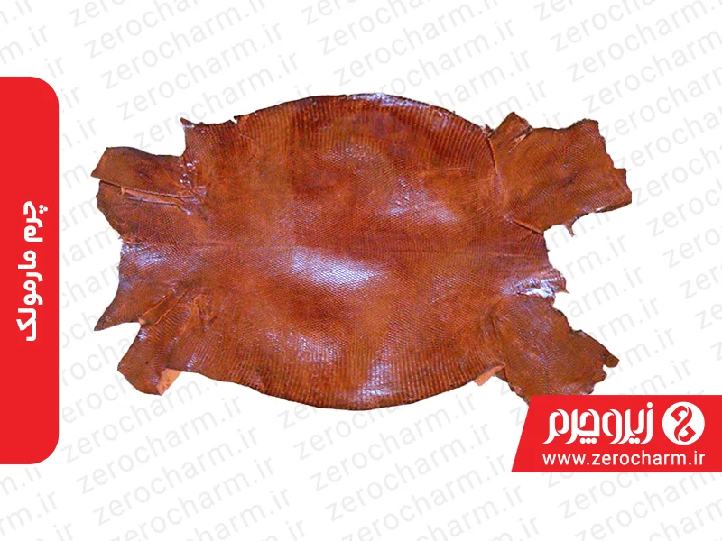 چرم مارمولک