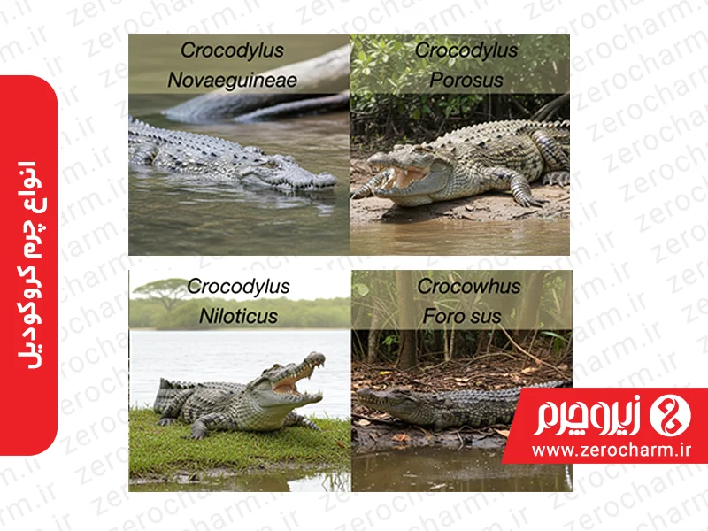 انواع چرم کروکودیل
