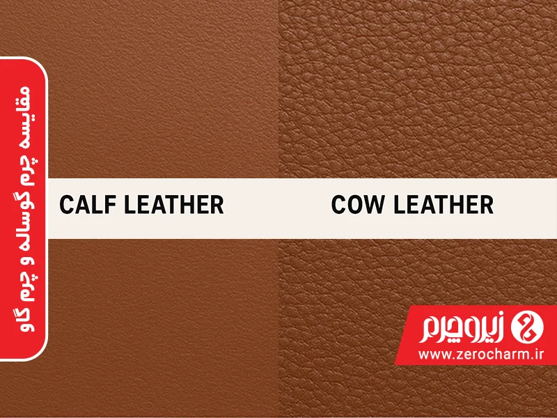 مقایسه چرم گوساله و چرم گاو